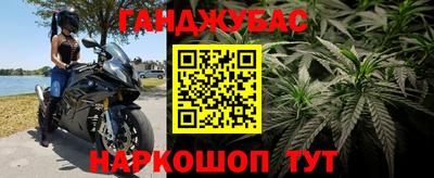 гидра Краснокаменск