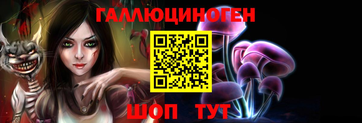 Псилоцибиновые грибы GOLDEN TEACHER  Вход с VPN  Черногорск 